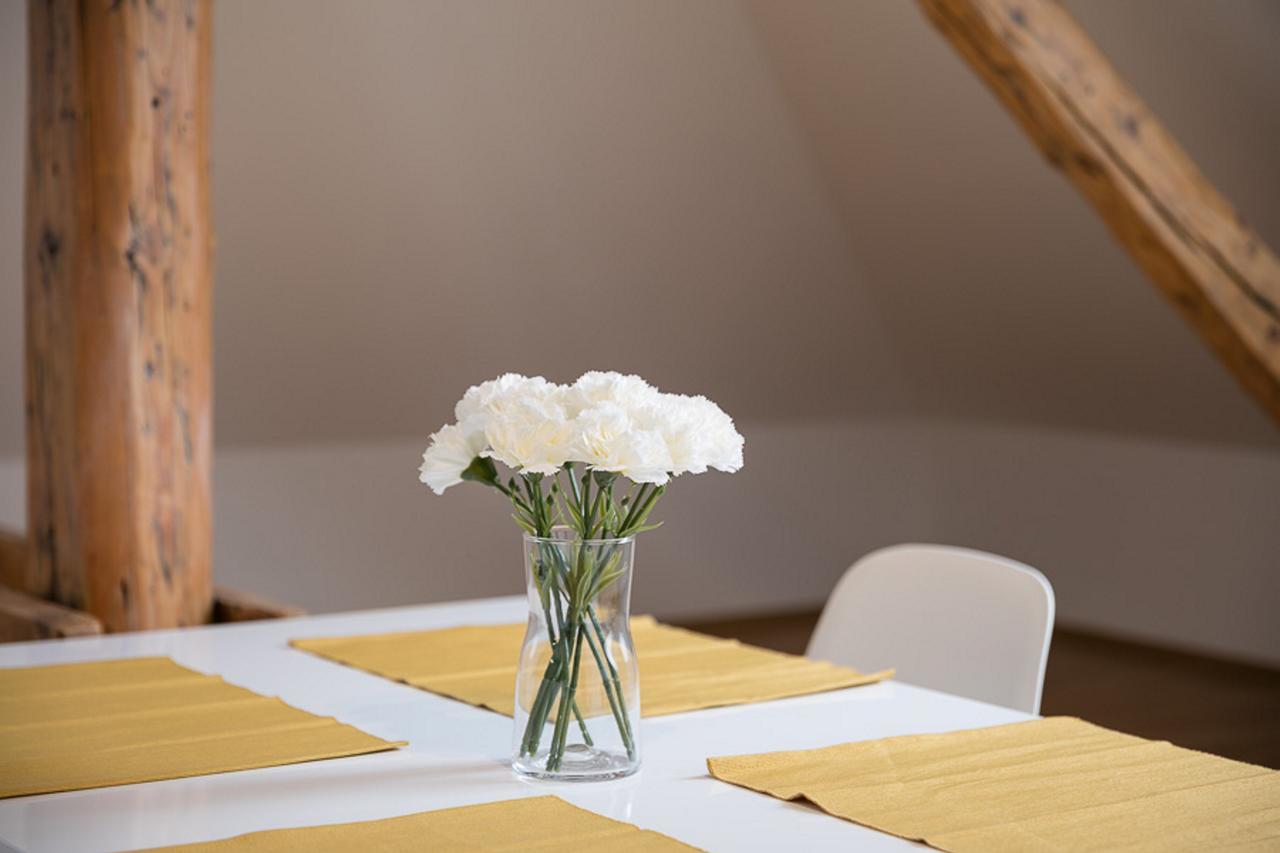 Pytloun Apartments ליברץ מראה חיצוני תמונה